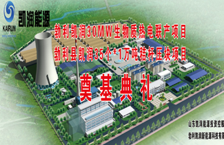 勃利JN江南生物质热电联产项目奠基典礼圆满落幕