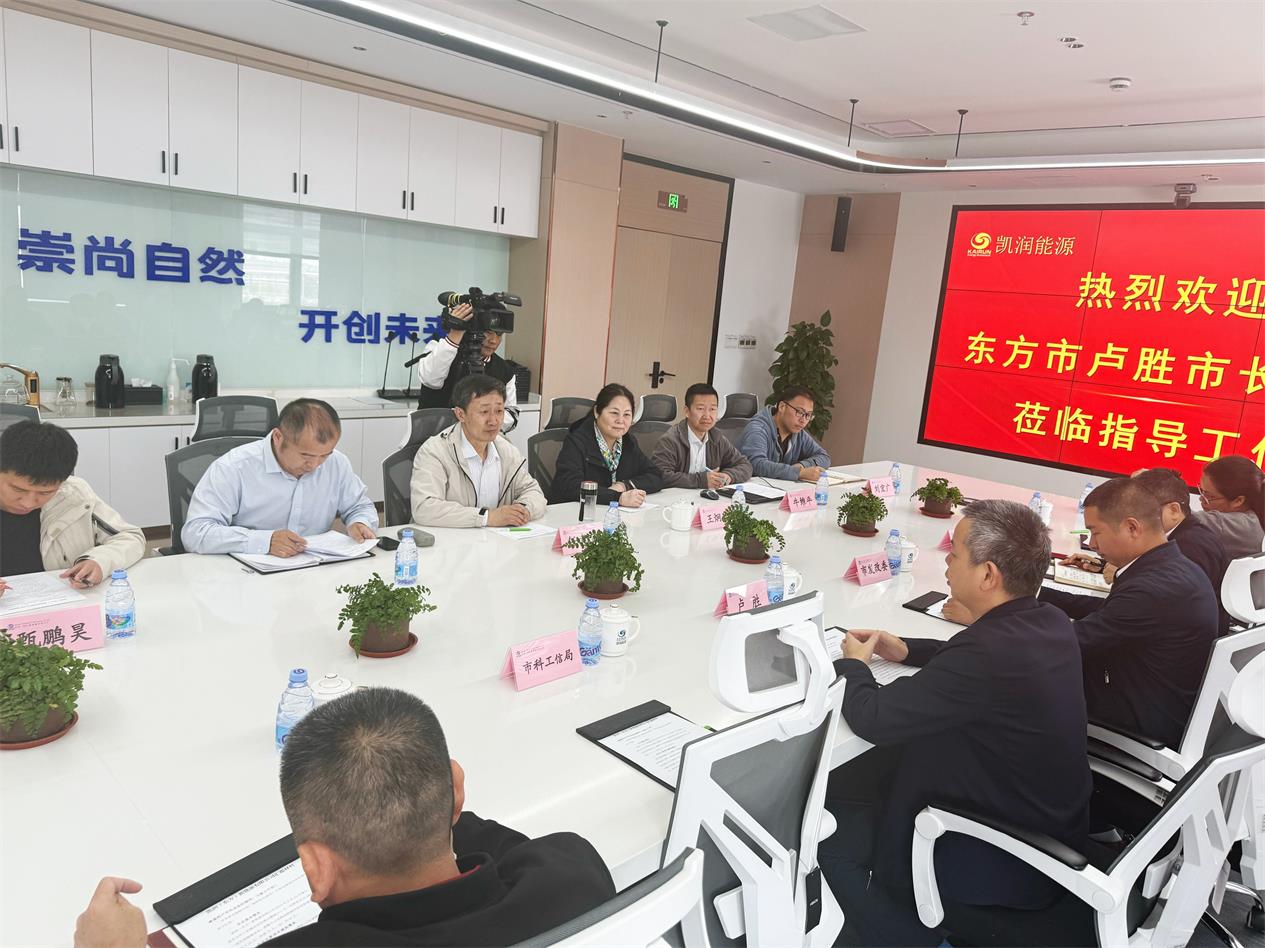 东方市卢胜市长莅临JN江南（东方）新能源有限公司召开座谈会